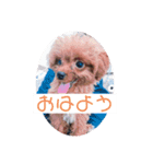 ぼくはクック 2（個別スタンプ：6）