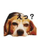 ノアとアミ（個別スタンプ：11）