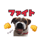 メイたん♡第二弾（個別スタンプ：3）