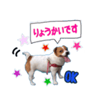 メイたん♡第二弾（個別スタンプ：4）