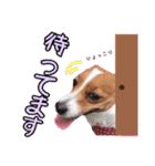 メイたん♡第二弾（個別スタンプ：7）