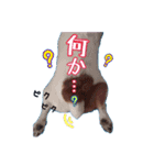 メイたん♡第二弾（個別スタンプ：10）