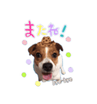メイたん♡第二弾（個別スタンプ：11）