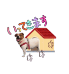 メイたん♡第二弾（個別スタンプ：13）