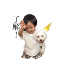 犬がいる暮らし2（個別スタンプ：24）