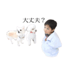 犬がいる暮らし2（個別スタンプ：26）