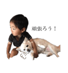 犬がいる暮らし2（個別スタンプ：27）
