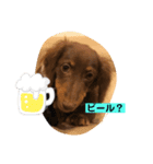 ライム！ライム！（個別スタンプ：2）