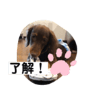 ライム！ライム！（個別スタンプ：10）