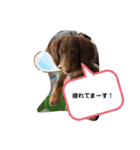 ライム！ライム！（個別スタンプ：12）