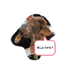 ライム！ライム！（個別スタンプ：14）