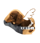 ライム！ライム！（個別スタンプ：15）