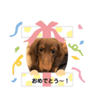 ライム！ライム！（個別スタンプ：16）
