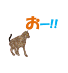 おもしろ猫 MV（個別スタンプ：20）