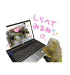 よもたんとバジル Vol.2（個別スタンプ：1）