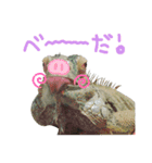 よもたんとバジル Vol.2（個別スタンプ：5）