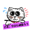 頑張るにゃんこたち（個別スタンプ：1）