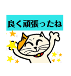 頑張るにゃんこたち（個別スタンプ：8）