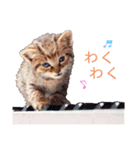 可愛いフィガロ（個別スタンプ：24）