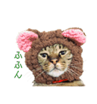 可愛いフィガロ（個別スタンプ：29）
