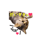 ねこのみおちゃん（個別スタンプ：4）