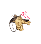 ねこのみおちゃん（個別スタンプ：9）