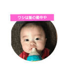 碧大明神 弐の陣（個別スタンプ：3）
