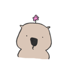 ラッコのらこきち2（個別スタンプ：4）