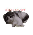 ノル男2（個別スタンプ：6）
