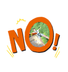 NKB2（個別スタンプ：4）