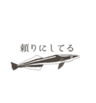 ヒモになりたいコバンザメ（個別スタンプ：31）