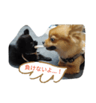 ワン達の日常スタンプ5（個別スタンプ：20）