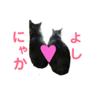 にぎやかな猫たち（個別スタンプ：9）