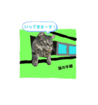 にぎやかな猫たち（個別スタンプ：18）