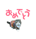 猫のルンちゃんスタンプです！（個別スタンプ：3）