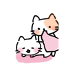 ゆるい猫のスタンプ（個別スタンプ：16）
