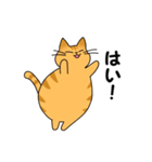 まるいねこ（茶トラ）（個別スタンプ：6）