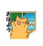 まるいねこ（茶トラ）（個別スタンプ：10）