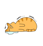 まるいねこ（茶トラ）（個別スタンプ：21）