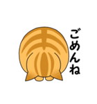 まるいねこ（茶トラ）（個別スタンプ：23）