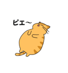 まるいねこ（茶トラ）（個別スタンプ：28）