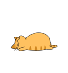 まるいねこ（茶トラ）（個別スタンプ：30）