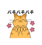 まるいねこ（茶トラ）（個別スタンプ：34）