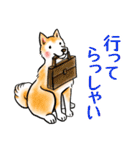 茶犬たち3（個別スタンプ：5）