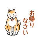 茶犬たち3（個別スタンプ：6）