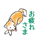 茶犬たち3（個別スタンプ：7）