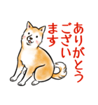 茶犬たち3（個別スタンプ：10）