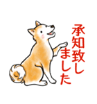 茶犬たち3（個別スタンプ：16）