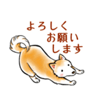 茶犬たち3（個別スタンプ：17）