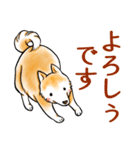 茶犬たち3（個別スタンプ：19）